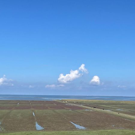 Westernieland De Oude Smidse酒店 外观 照片