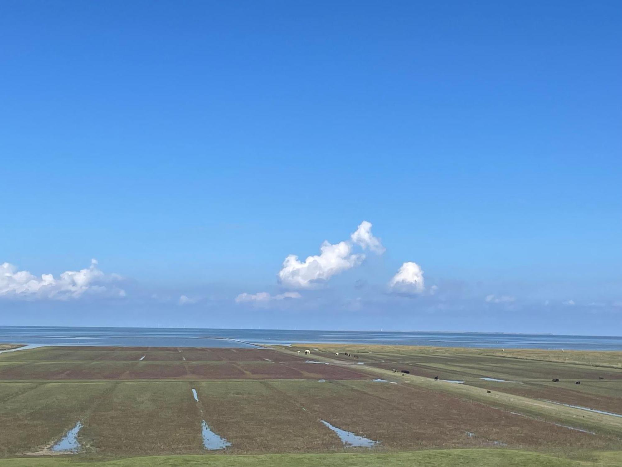 Westernieland De Oude Smidse酒店 外观 照片